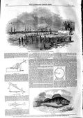 Old Antique Print 1846 Captain Jerningham Life-Saving Perch Fish Anchor 19th