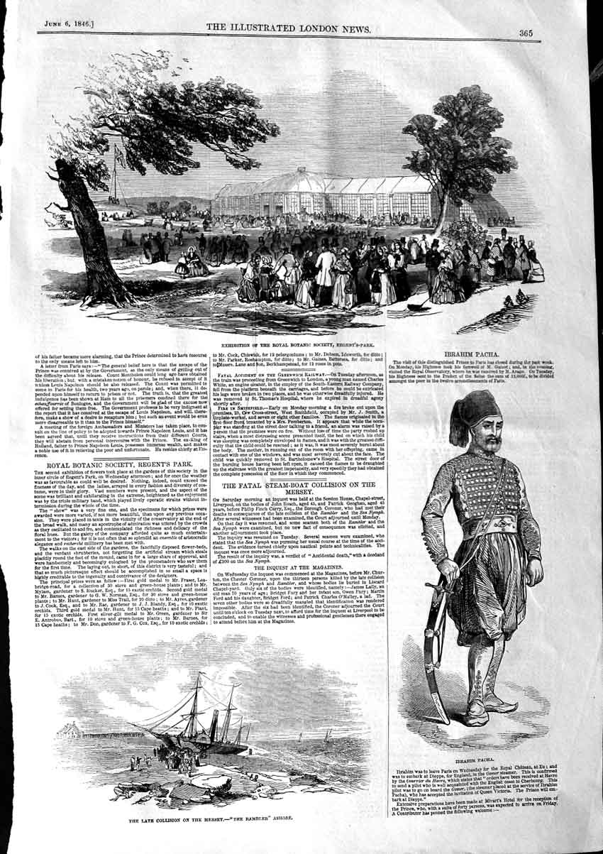 Old Antique Print 1846 Ibrahim Pacha Rambler Ship Botanic Society Regents 19th