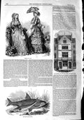 Original Old Antique Print 1846 Roach Gudeon Fish Cornhill Wards School Fashion