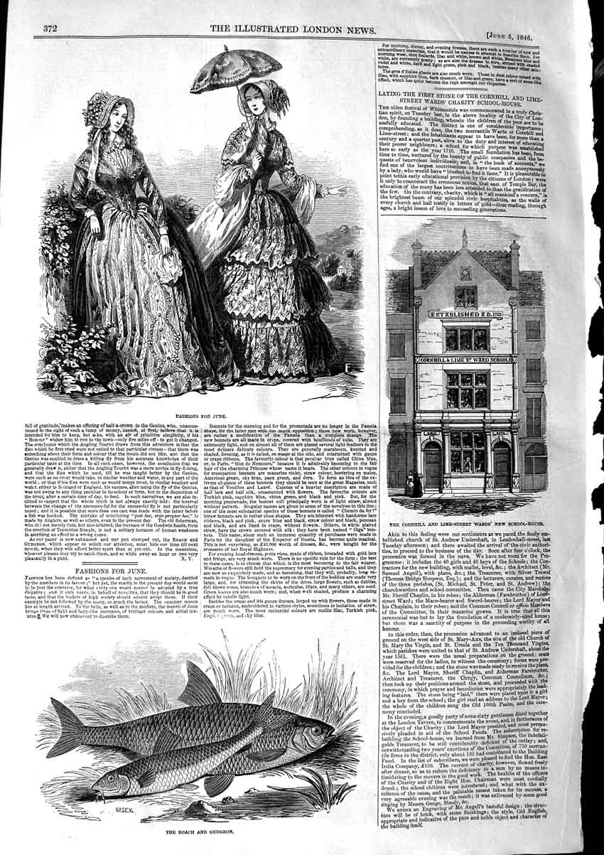 Original Old Antique Print 1846 Roach Gudeon Fish Cornhill Wards School Fashion