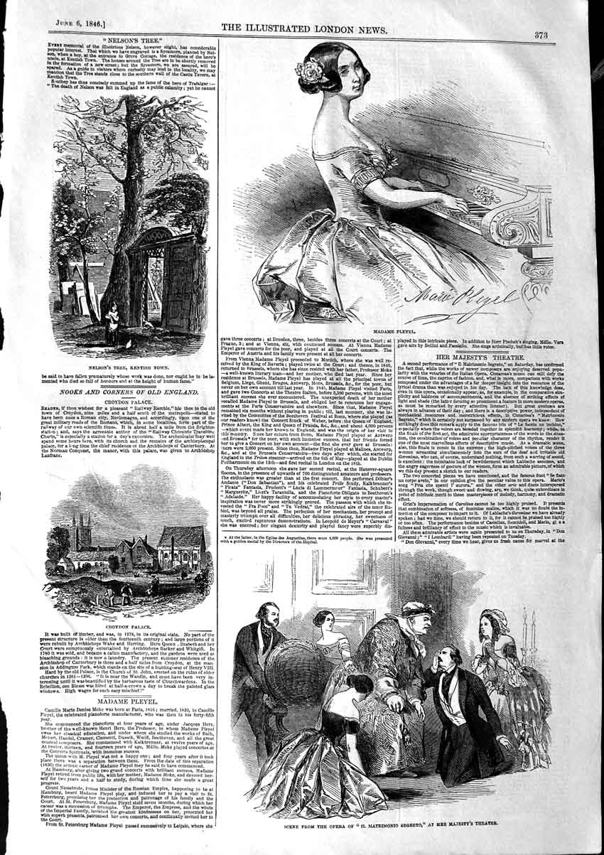 Old Antique Print 1846 Plevel Nelson Tree Kentish Croydon Opera Theatre 19th