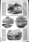 Original Old Antique Print 1846 Mexico California Yerba Buena Santa Victorian