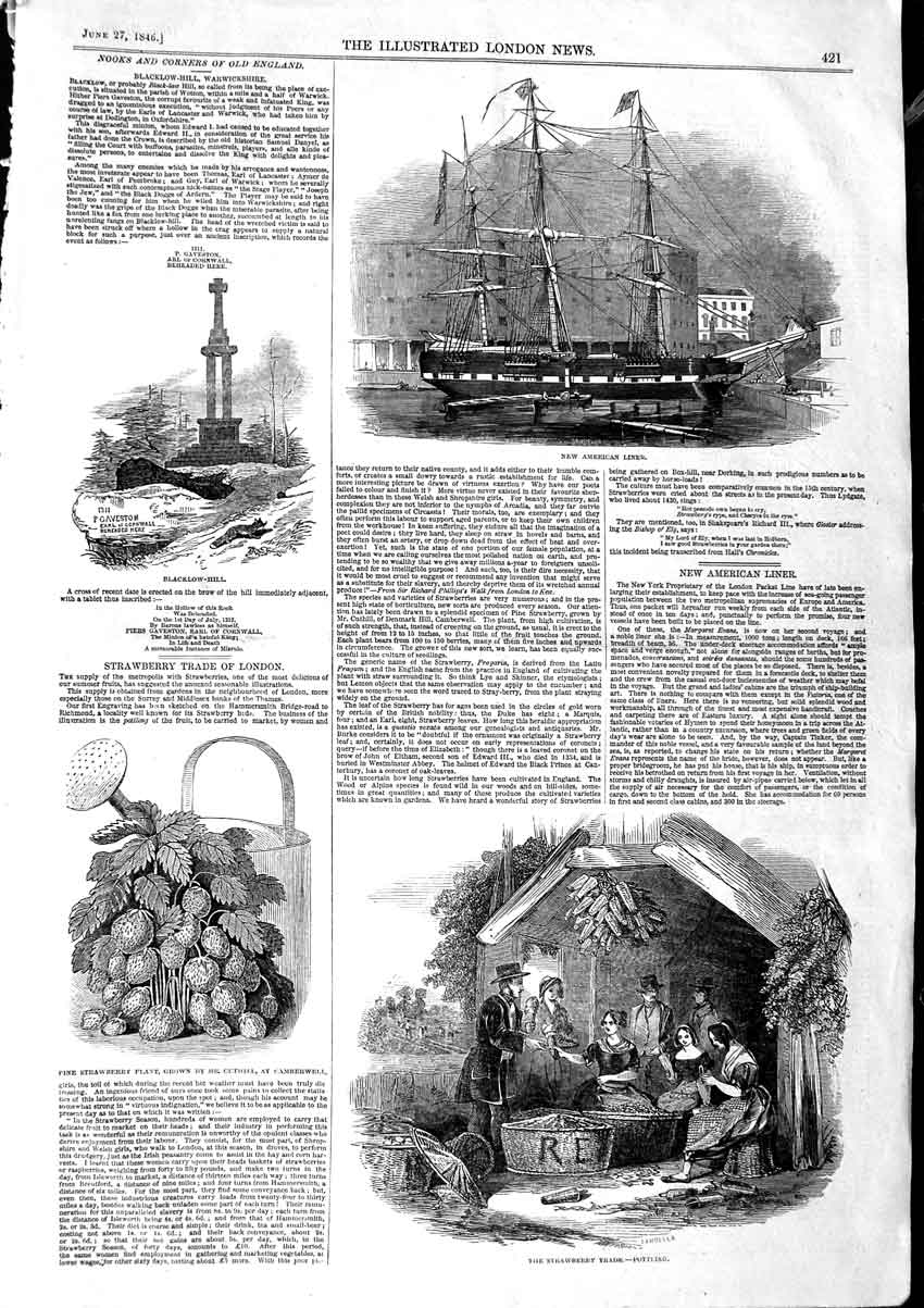 Old Antique Print 1846 Strawberry Trade Pottling Blacklow-Hill Ship Liner 19th