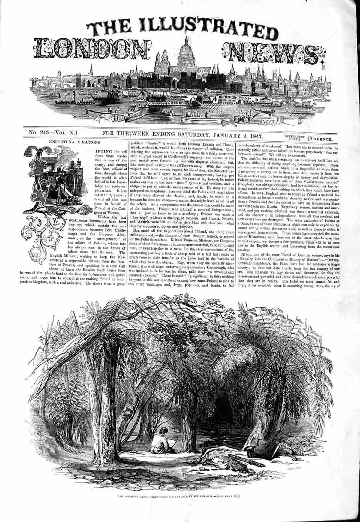 Old Antique Print 1847 Van Diemen Land Fern Tree Valley Mount Wellington 19th