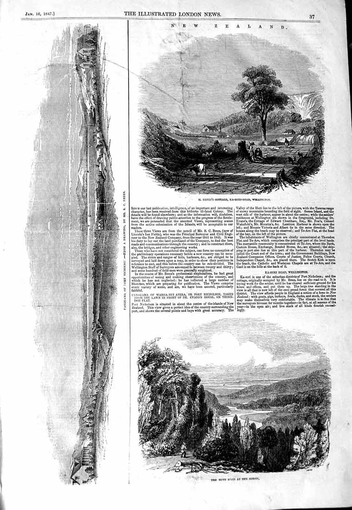 Old Antique Print 1847 New Zealand Bree Cottage Wellington Fort Nicholson 19th