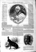 Old Antique Print 1847 Blac Hare Suffolk Phoenix Tower Chester Man Head 19th