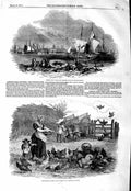 Old Antique Print 1847 Poultry Yard Agriculture Foreign Corn Port Orleans 19th