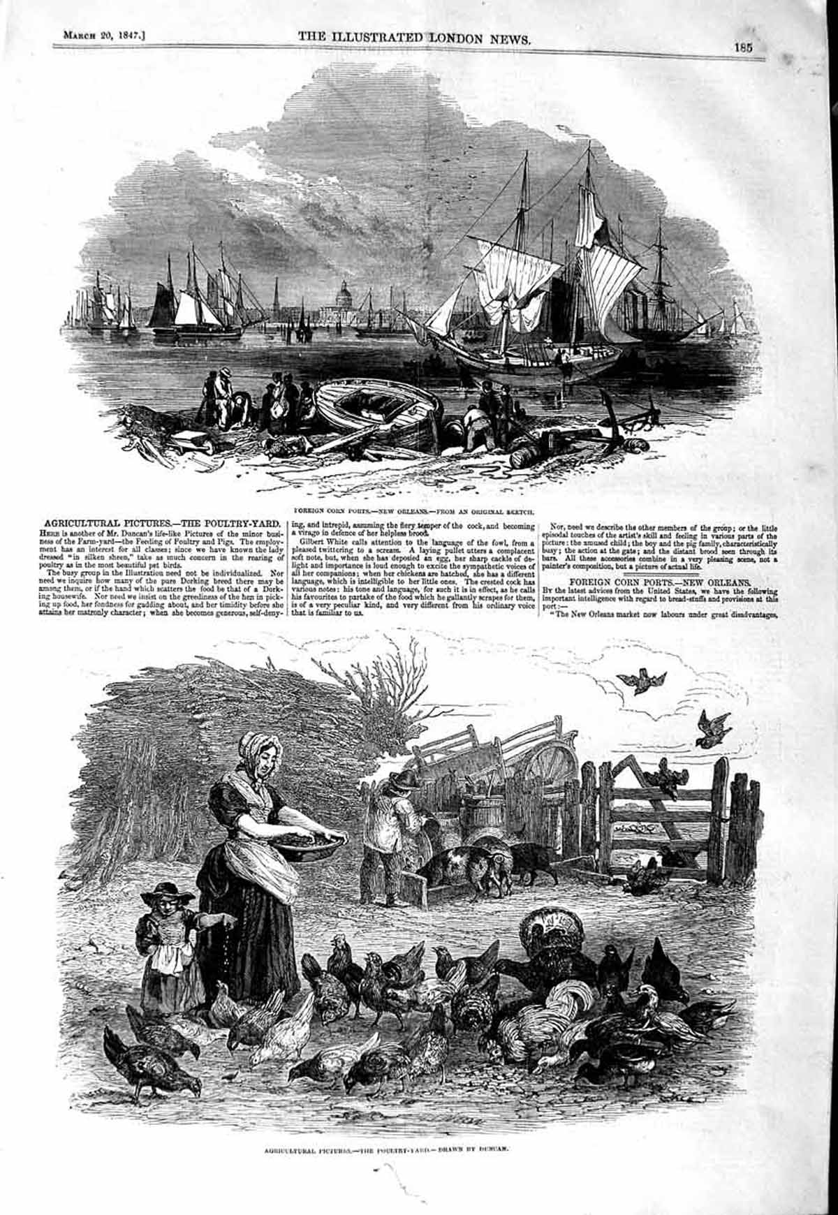 Old Antique Print 1847 Poultry Yard Agriculture Foreign Corn Port Orleans 19th