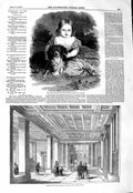 Old Antique Print 1847 Princess Alice Dog British Museum Entrance Stair 19th