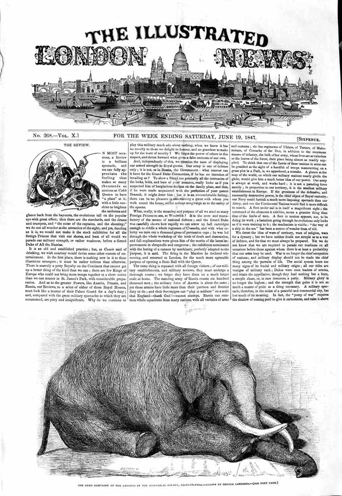 Original Old Antique Print 1847 Dead Elephant Gardens Zoological Regent'S Park