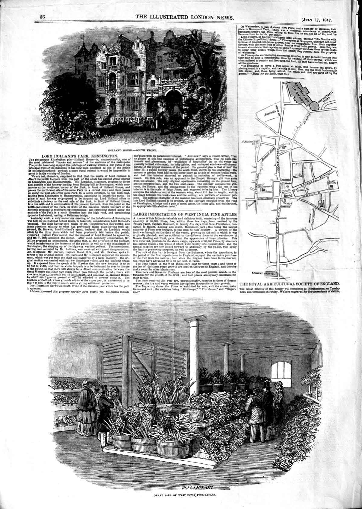 Original Old Antique Print 1847 Holland House Kensington Sale India Pine-Apples