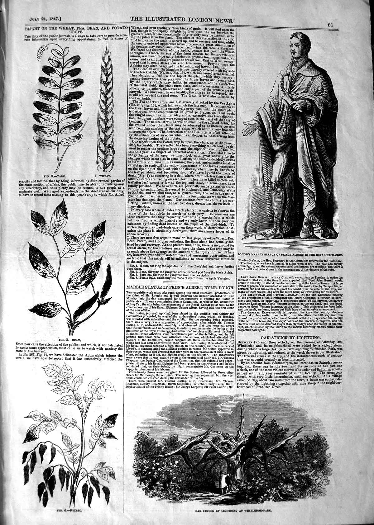 Original Old Antique Print 1847 Lough Statue Prince Albert Tree Wimbledon Crops