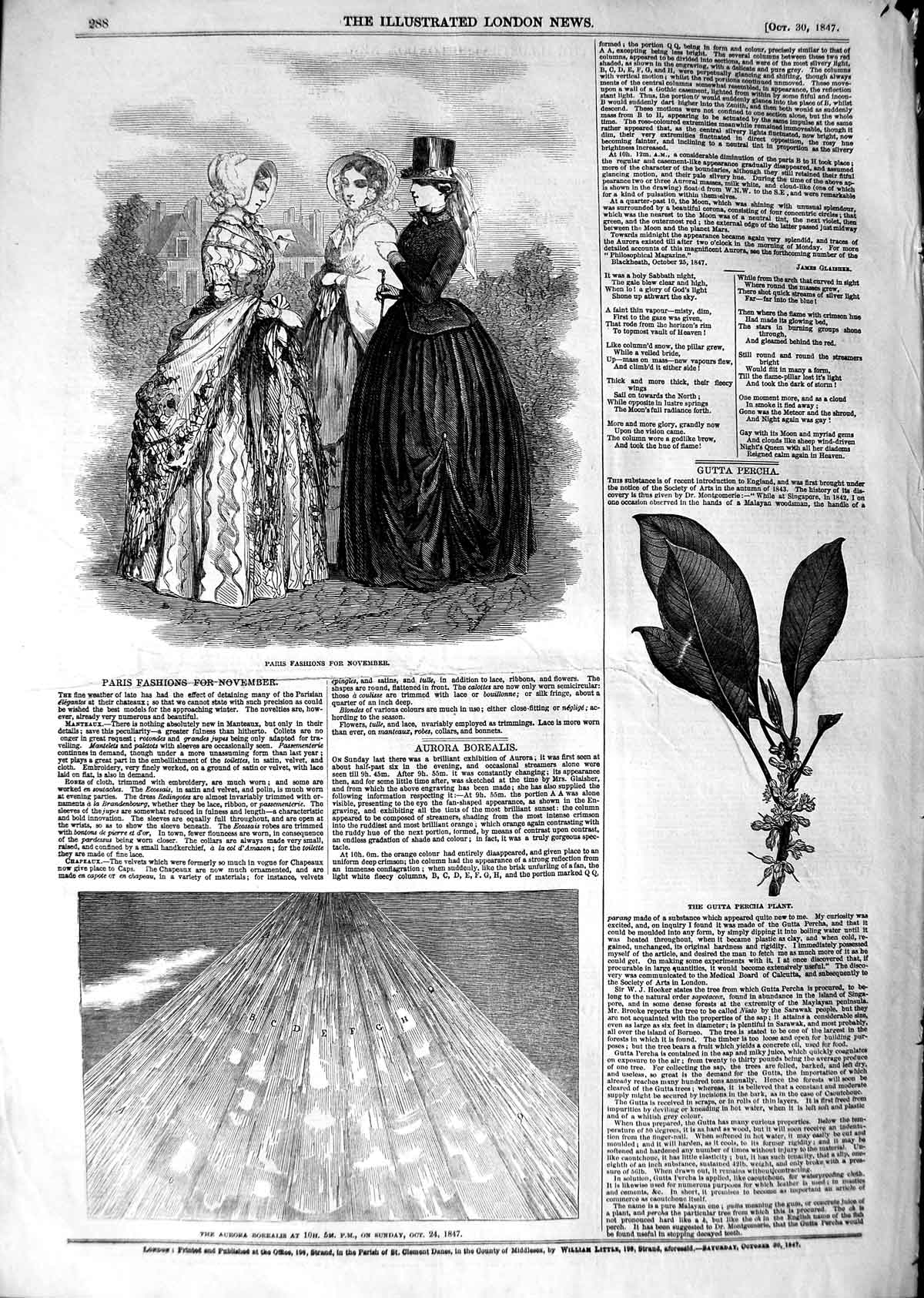 Old Antique Print 1847 Gutta Percha Plant Aurora Borealis Paris Fashion 19th