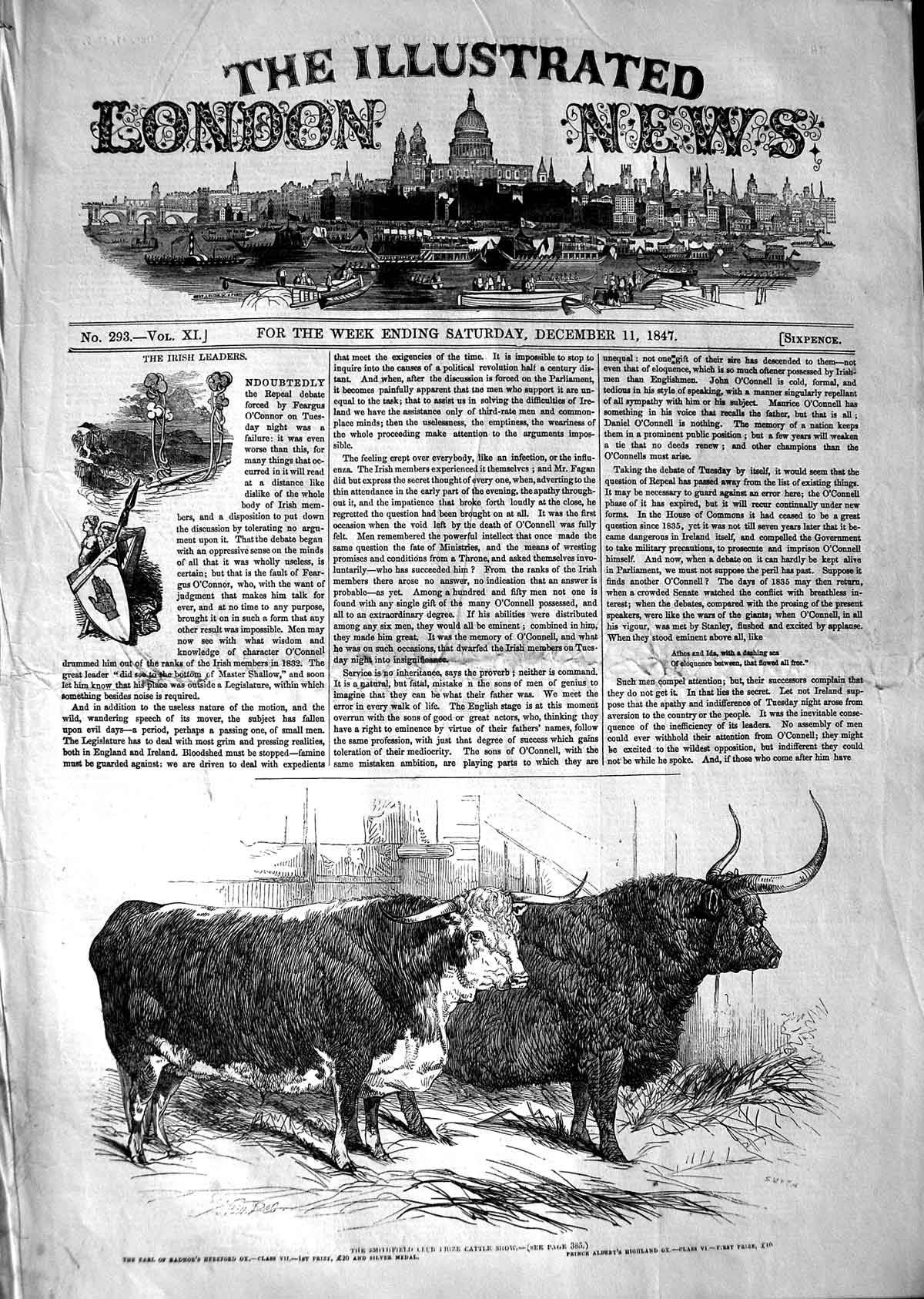 Old Antique Print 1847 Smithfield Club Cattle Show Hereford Ox Highland 19th