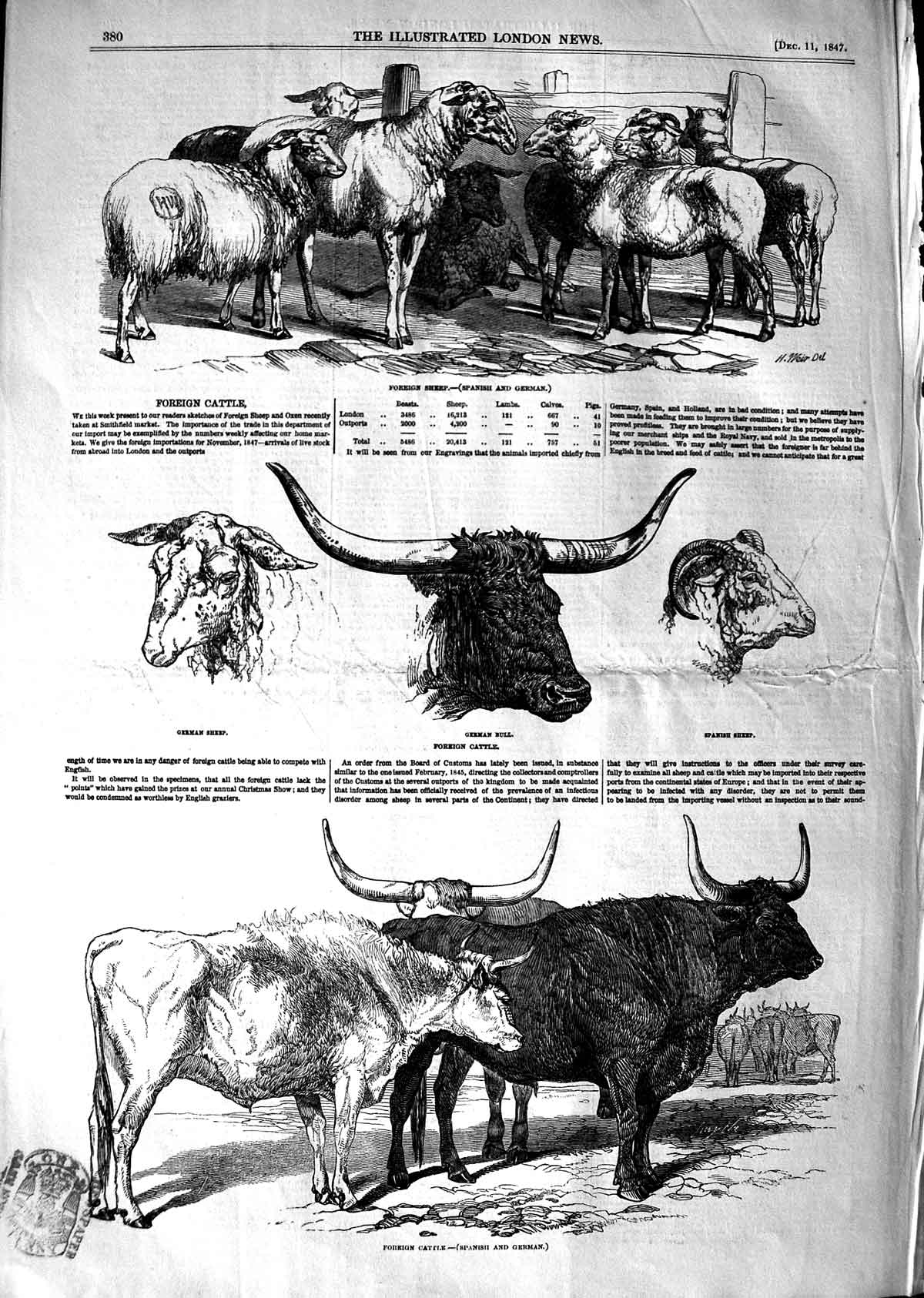 Original Old Antique Print 1847 Foreign Cattle Sheep Bull Spanish German 19th
