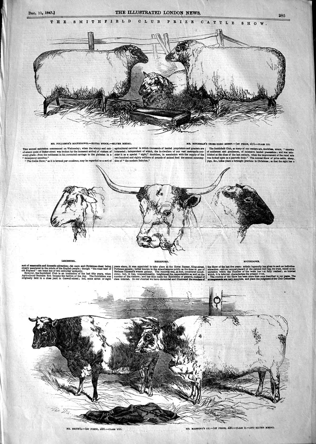 Old Antique Print 1847 Smithfield Club Cattle Show Hereford Smith Sheep 19th