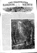Original Old Antique Print 1848 Royal Academy Art Chequered Shade Trees Country