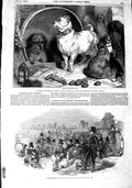 Old Antique Print 1848 Alexander Diogenes Dogs Landseer Police Bonner'S 19th