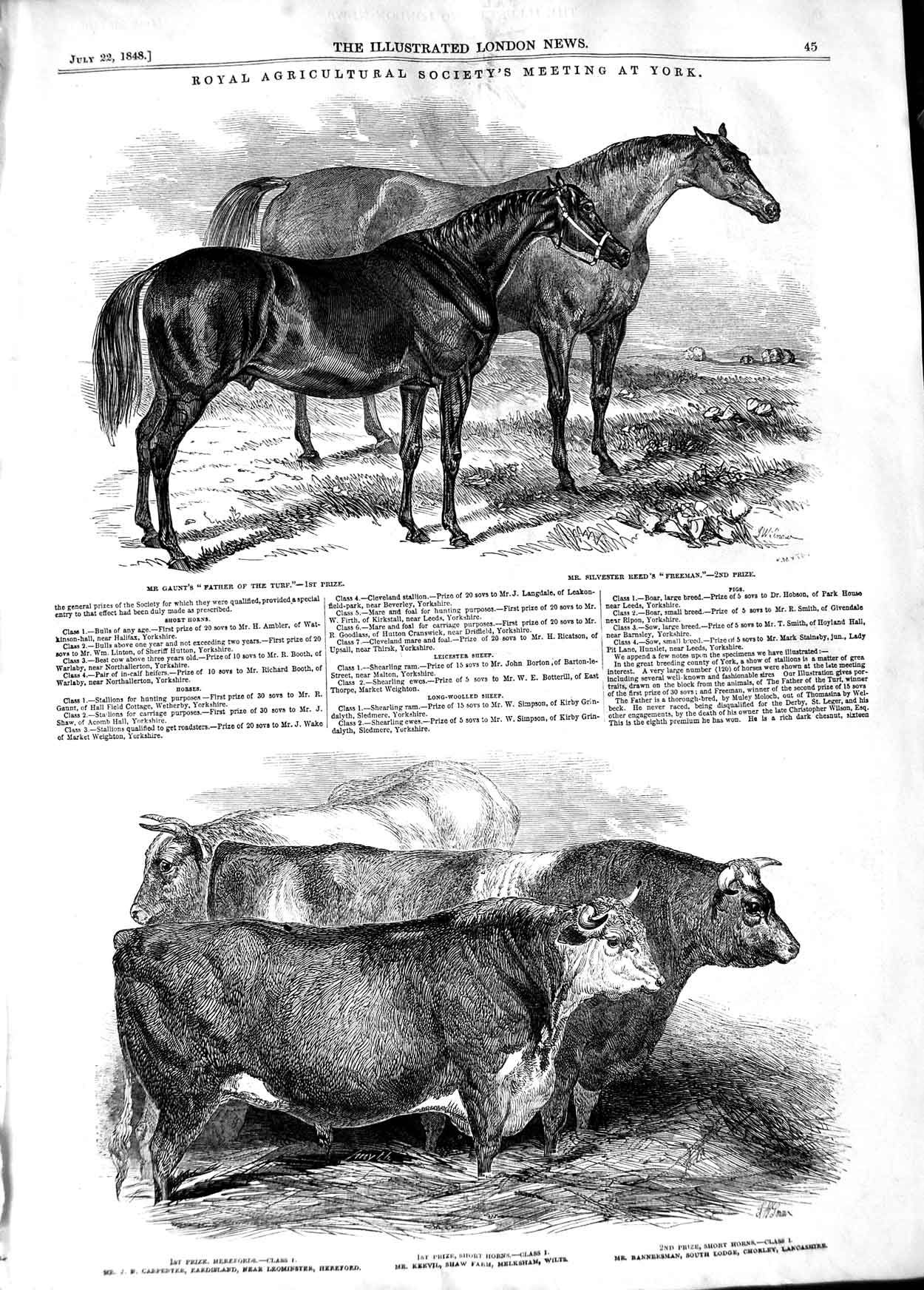 Old Antique Print 1848 Royal Agricultural Animals Horse Cows Pigs Sheep 19th