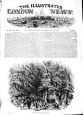 Original Old Antique Print 1848 Goodwood Horse Racing Park Sport 19th