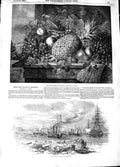 Old Antique Print 1848 Prize Fruit Blenheim War Steamers Ships Kingstown 19th