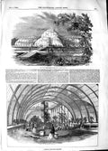 Original Old Antique Print 1848 Interior Great Palm House Royal Gard Victorian