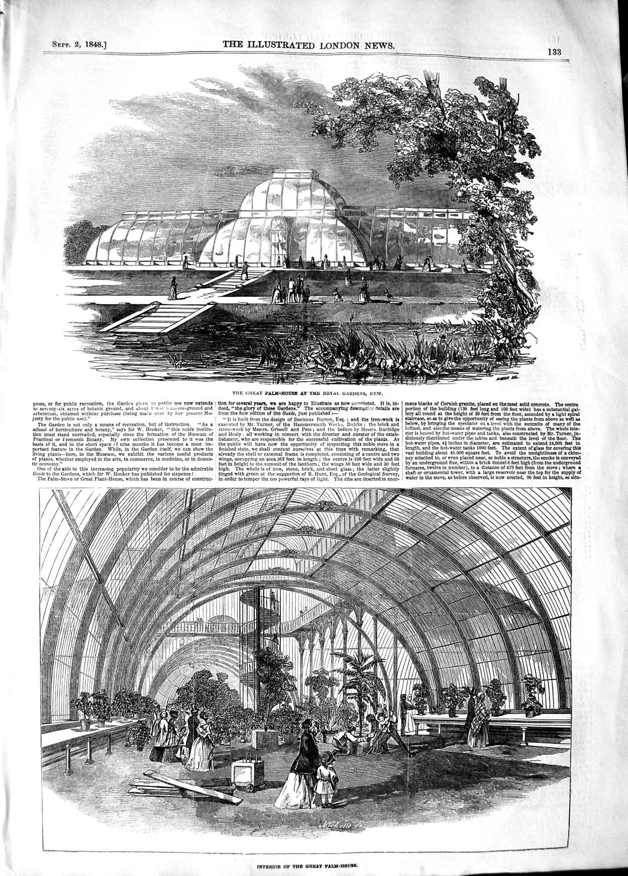 Original Old Antique Print 1848 Interior Great Palm House Royal Gard Victorian