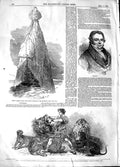 Original Old Antique Print 1848 Peter Botte Mountain Mauritius Amburgh Be 19th