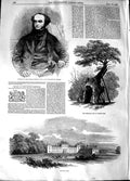 Original Old Antique Print 1848 Lord George Bentinck Greendale Tree Welbec 19th