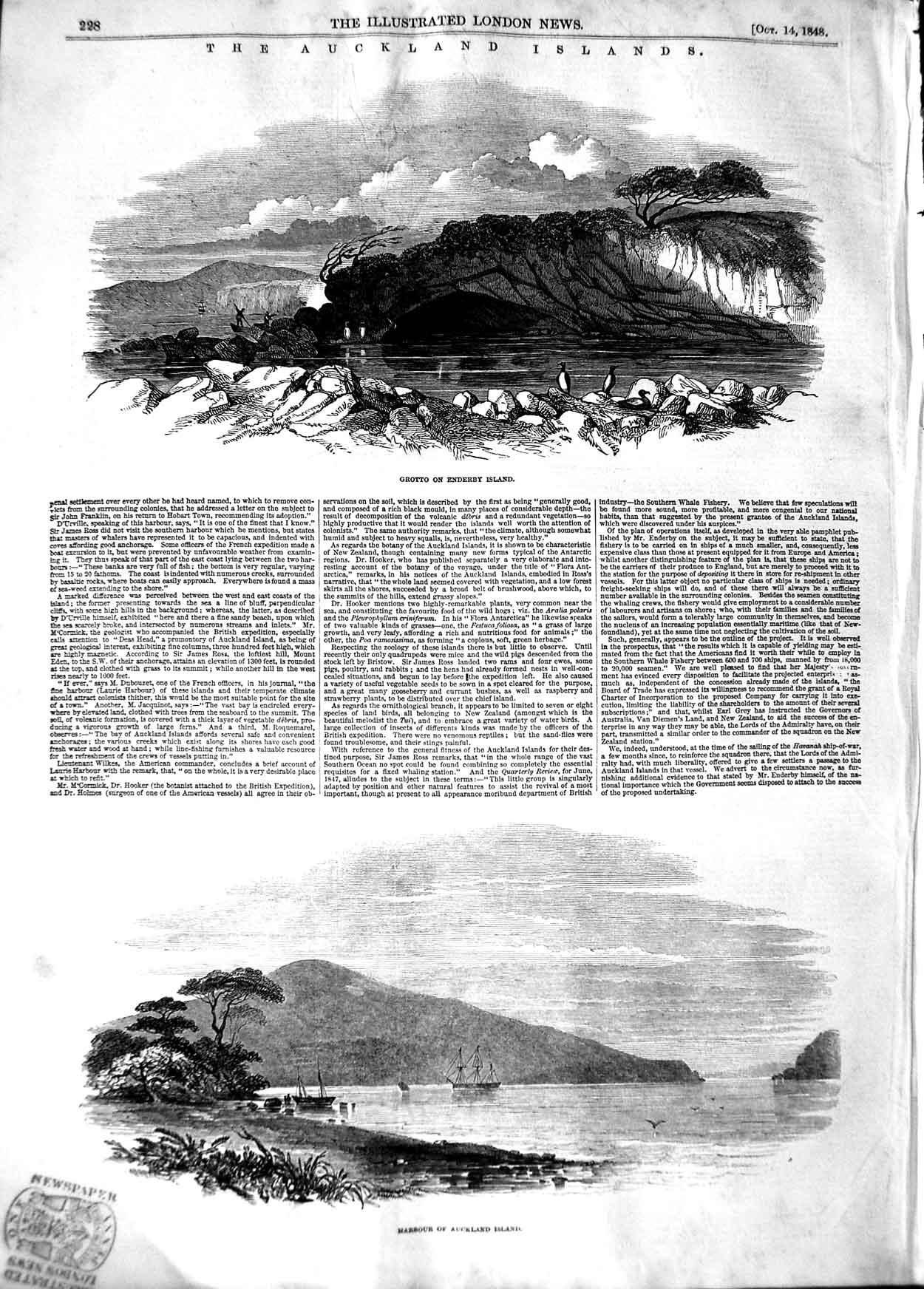 Original Old Antique Print 1848 Auckland Islands Enderby Grotto Harbour Zealand