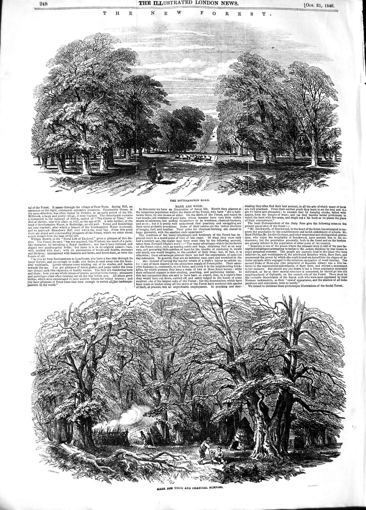 Original Old Antique Print 1848 New Forest Southampton Road Mark Ash Wood 19th