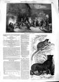 Original Old Antique Print 1848 Allhallow Even Tree Kangaroo Black Leopard Zoo