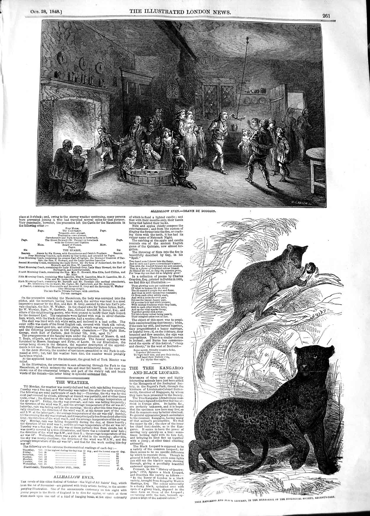 Original Old Antique Print 1848 Allhallow Even Tree Kangaroo Black Leopard Zoo