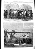 Original Old Antique Print 1848 Smithfield Club Cattle Show Animals Implements