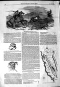 Original Old Antique Print 1849 Horse Cow California Map GMining 19th