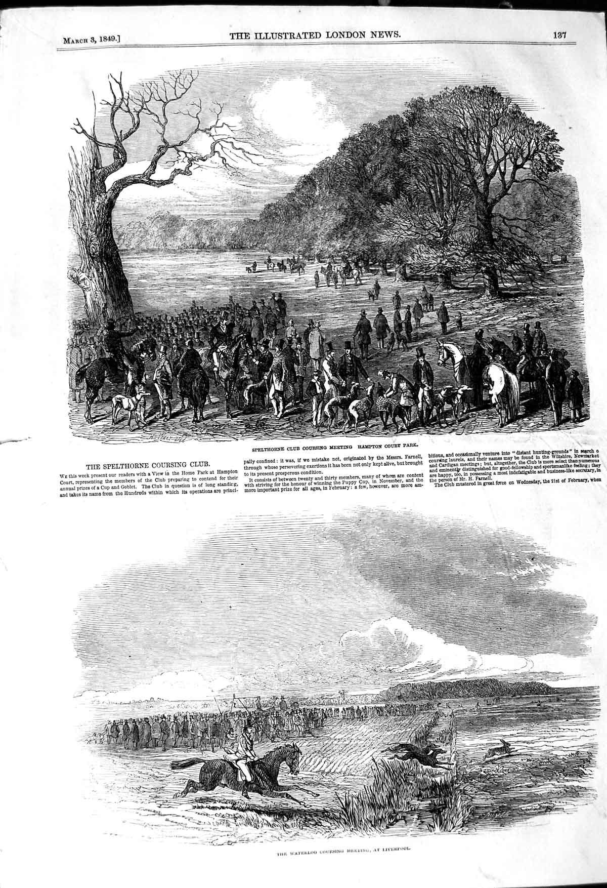 Original Old Antique Print 1849 Spelthorne Coursing Club Hampton Court Park