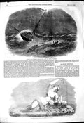 Old Antique Print 1849 Ship Wreck Floridian Emigrant Harwich Bacchus Baby 19th