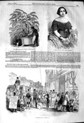 Old Antique Print 1849 Asiaticus Rariotes Flower Giulliani Theatre London 19th