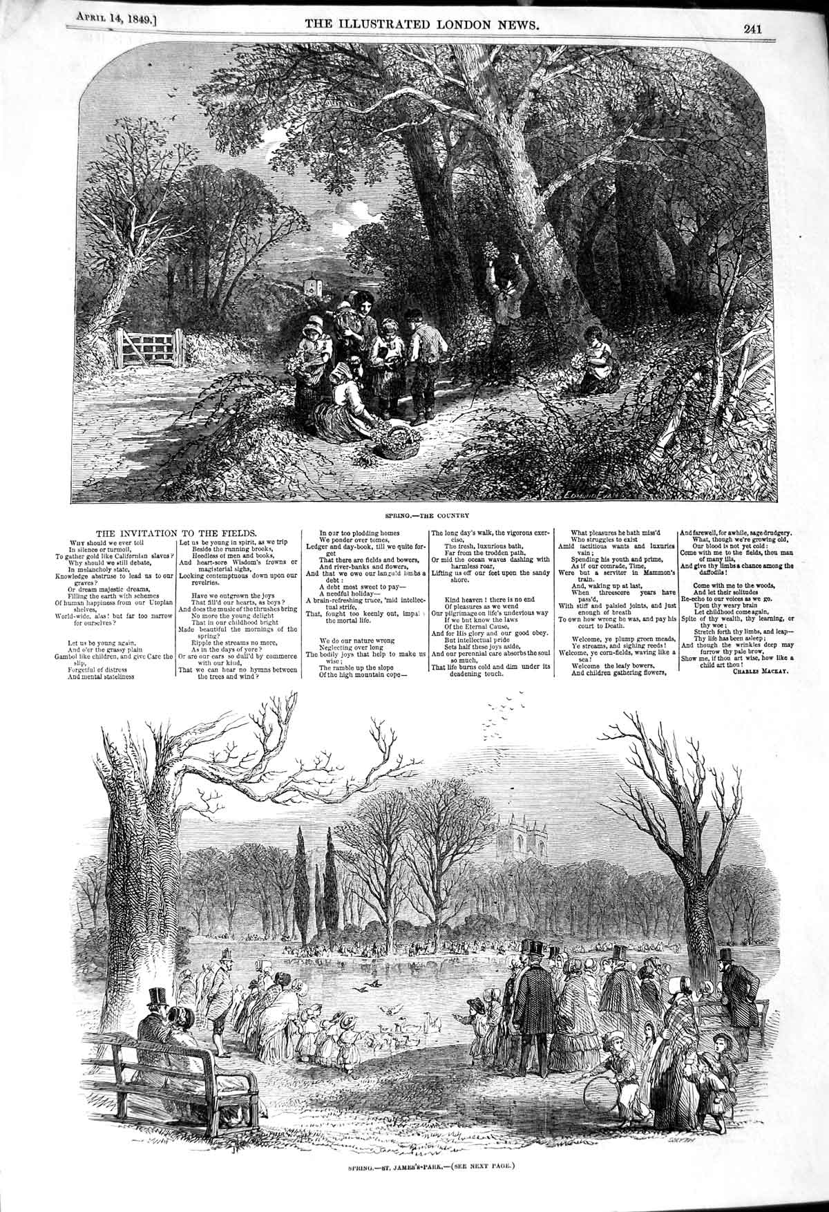 Original Old Antique Print 1849 Spring Scene Country St. James'S Park Duck 19th