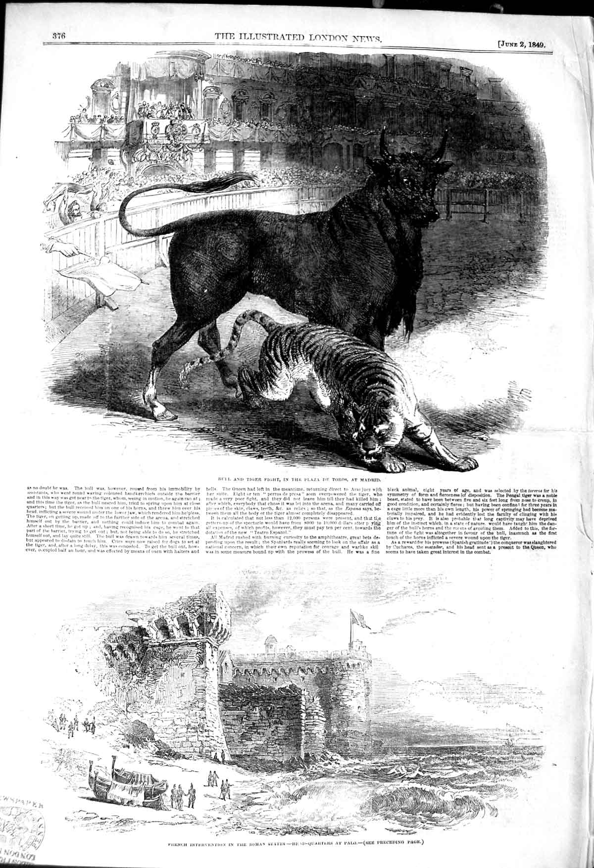 Original Old Antique Print 1849 Bull Tiger Fight Toros Madrid Spain French Palo