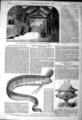Old Antique Print 1849 Reptile House Regent'S Park Fish Cosmorama Welter 19th