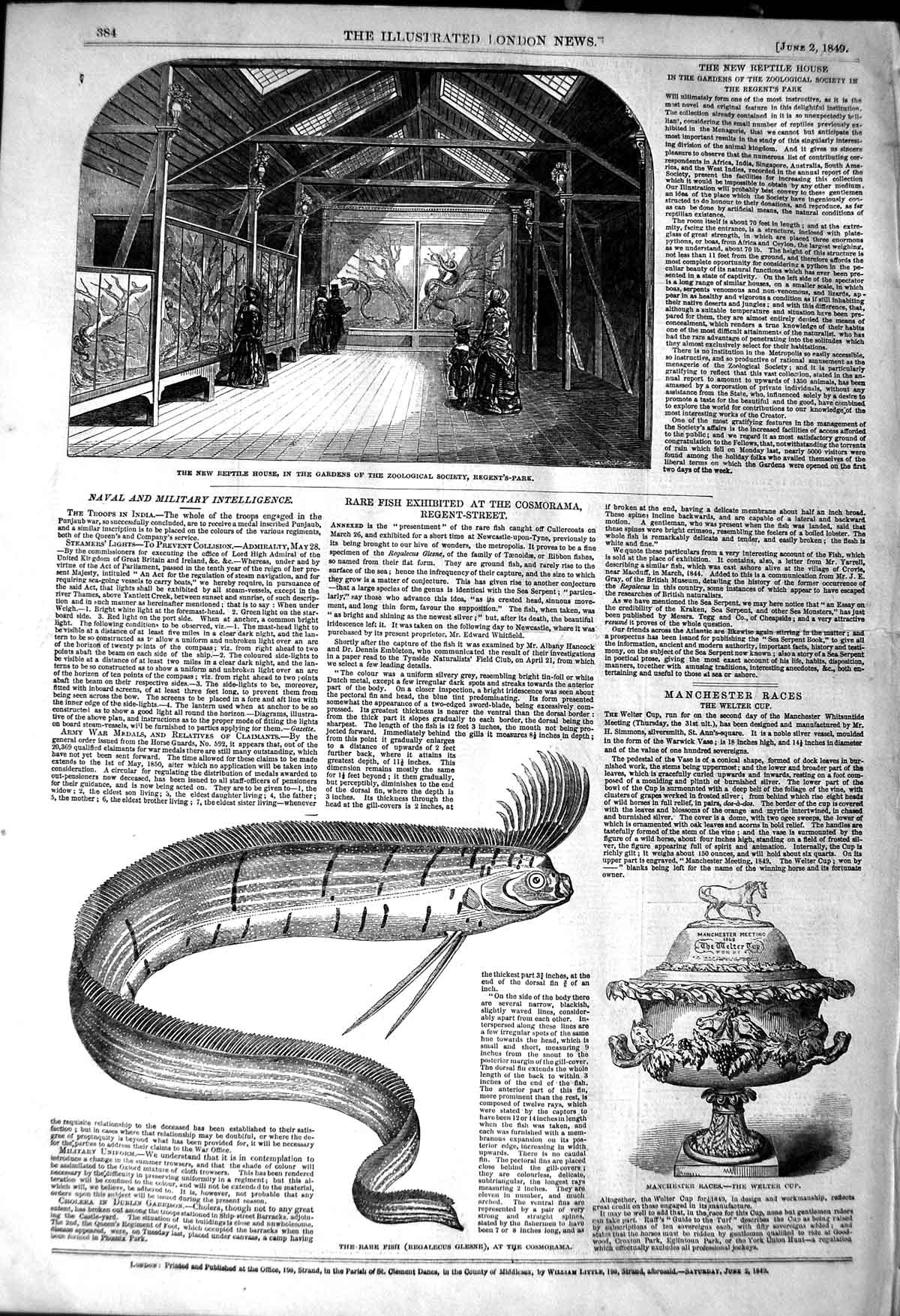 Old Antique Print 1849 Reptile House Regent'S Park Fish Cosmorama Welter 19th
