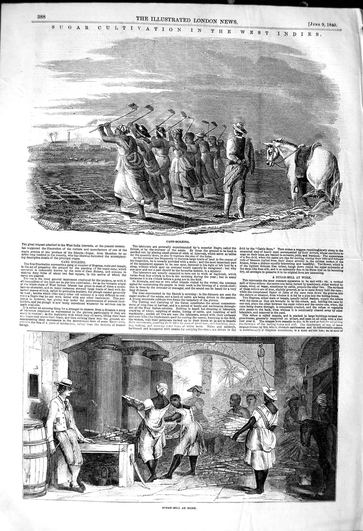 Original Old Antique Print 1849 Cane Sugar Cultivation West Indies Boilin 19th