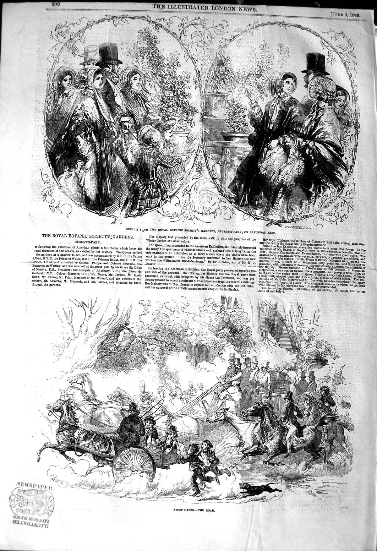 Old Antique Print 1849 Royal Botanic Society Gardens Regent'S Park Ascot 19th