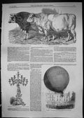 Old 1849 Short-Horn Cattle Show Nassau Balloon Candelabrum Mitchell L Victorian