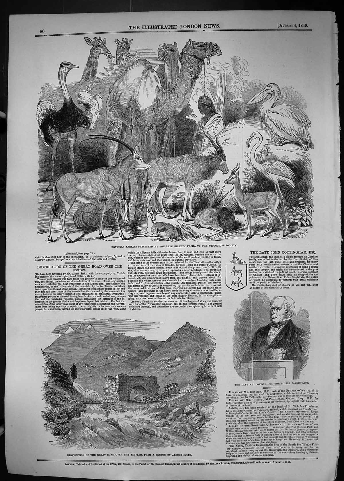 Old 1849 Egyptian Animals Pacha Destruction Simplon Cottingham Police Victorian