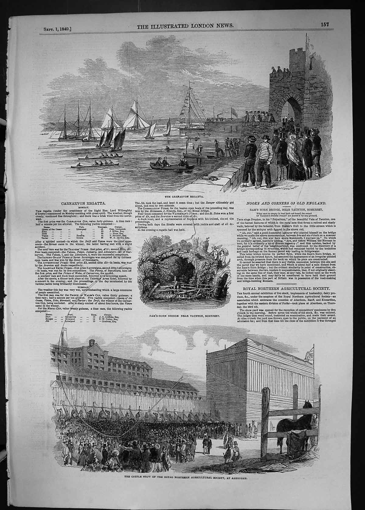 Old 1849 Carnarvon Regatta Ram'S Horn Bridge Taunton Somerset Cattle Victorian