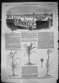 Old 1849 Ruins Fire London Carpenters Hall American Corn Barbadoes Ma Victorian