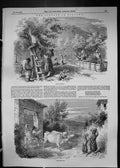 Old Antique Print 1849 Tuscany Grape Gathering Wine Industry Bullock Cart 19th