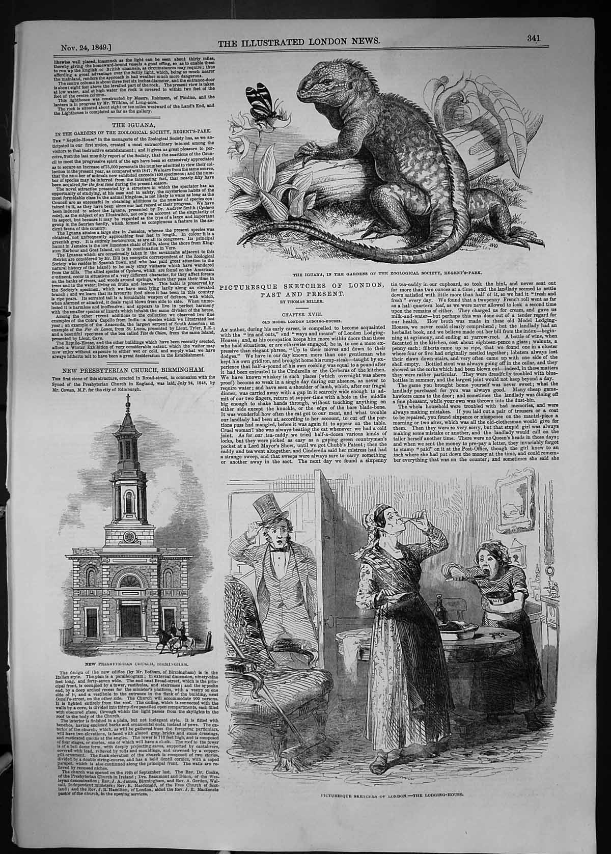 Old 1849 Iguana Zoological Society Gardens Church Birmingham London L Victorian